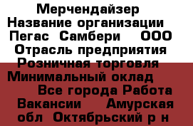 Мерчендайзер › Название организации ­ "Пегас" Самбери-3, ООО › Отрасль предприятия ­ Розничная торговля › Минимальный оклад ­ 23 500 - Все города Работа » Вакансии   . Амурская обл.,Октябрьский р-н